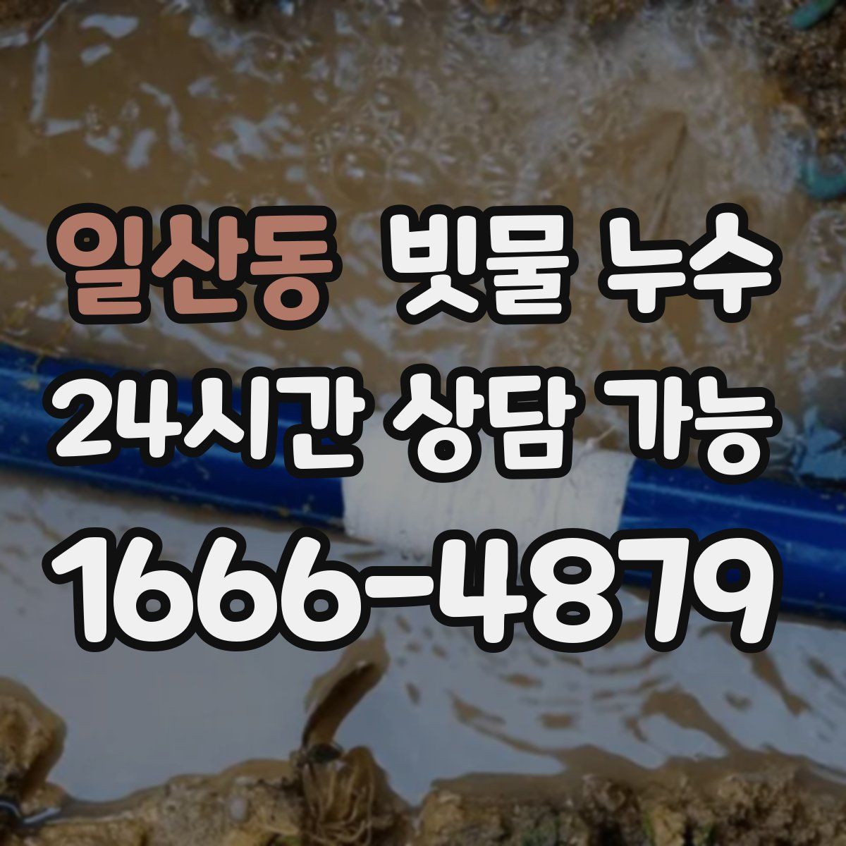 일산동 빗물 누수