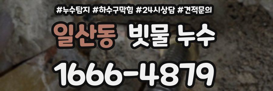 일산동 빗물 누수