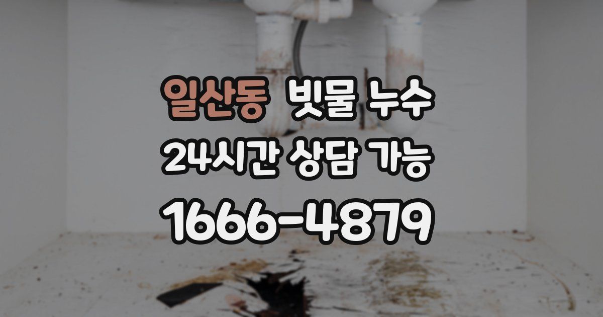 일산동 빗물 누수