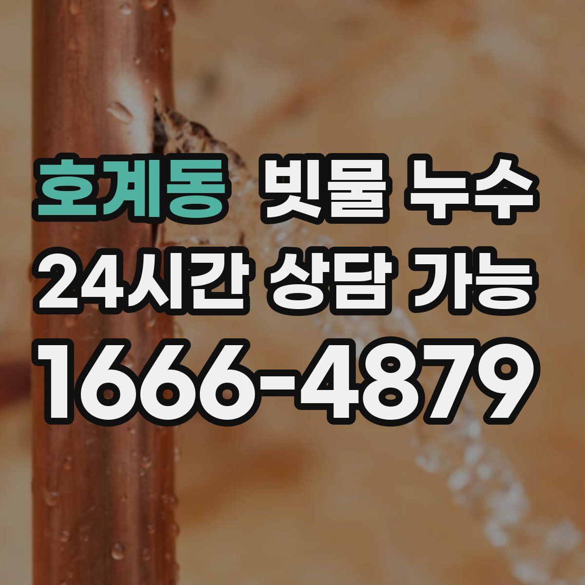 호계동 빗물 누수