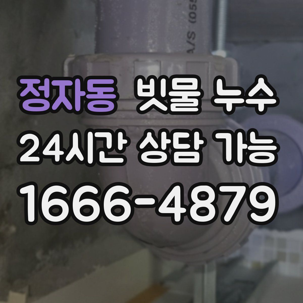 정자동 빗물 누수