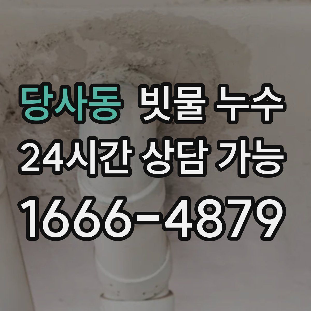 당사동 빗물 누수