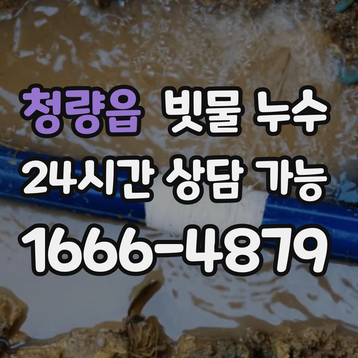 청량읍 빗물 누수