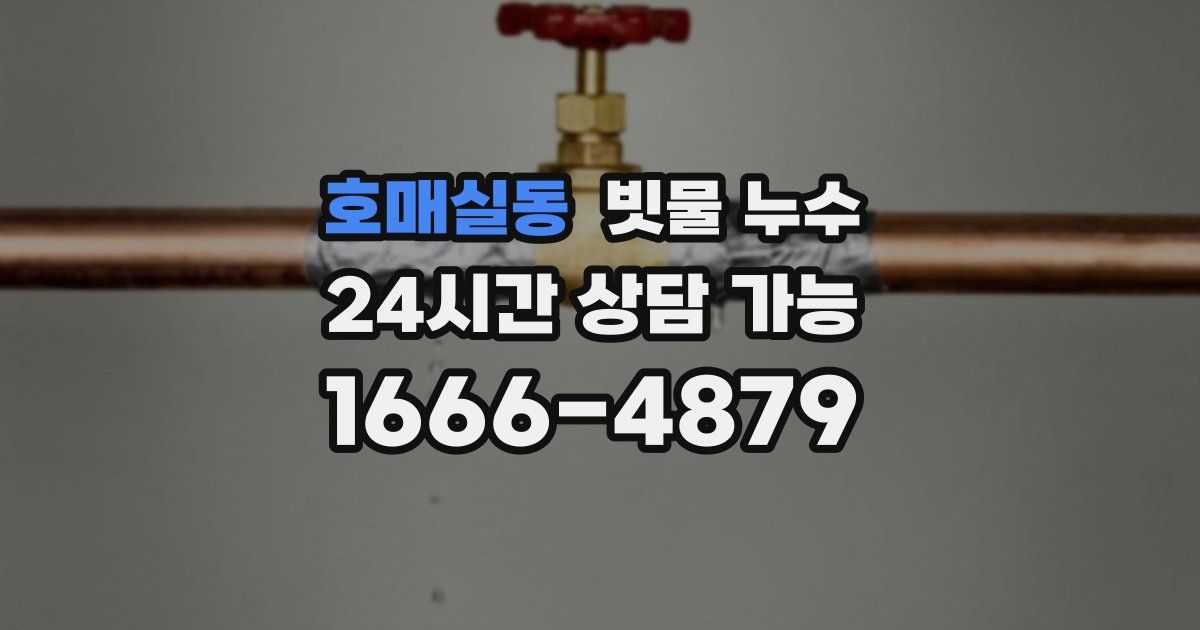 호매실동 빗물 누수
