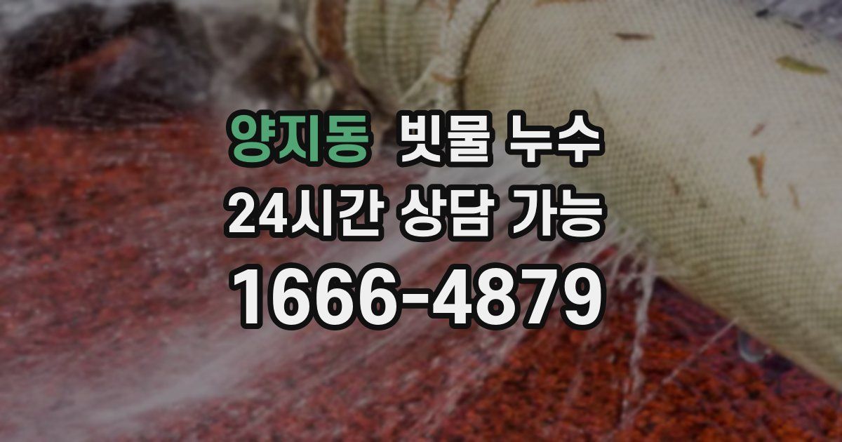 양지동 빗물 누수