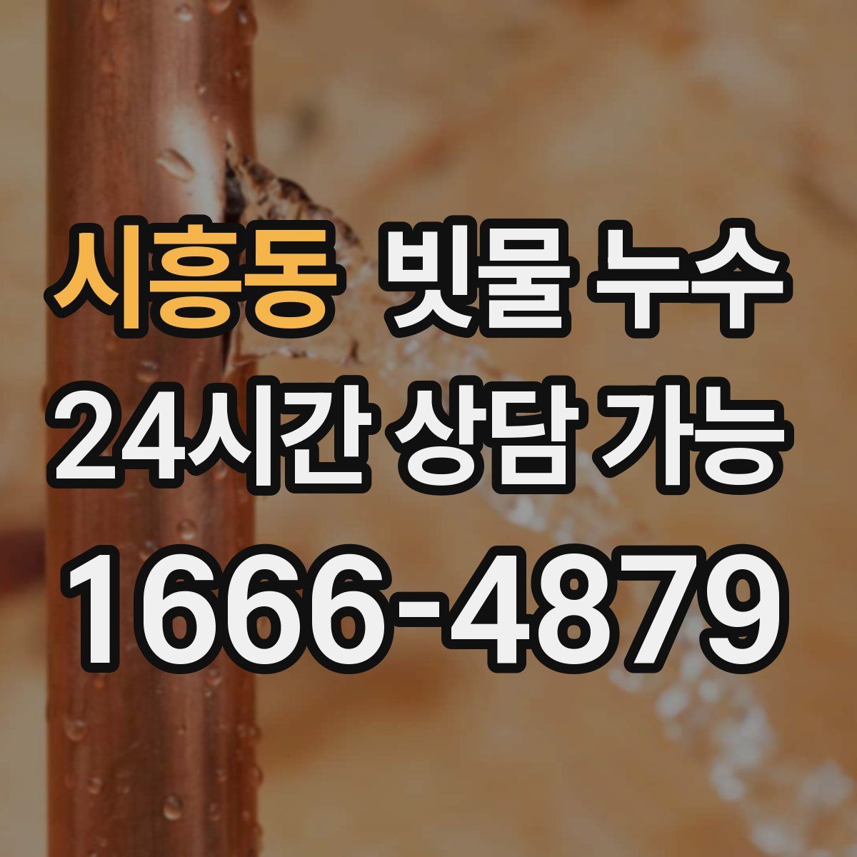 시흥동 빗물 누수