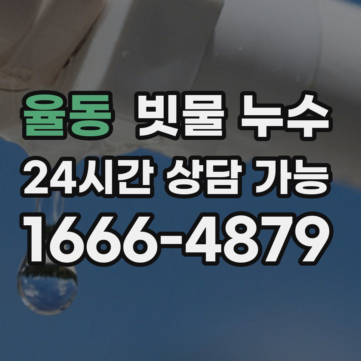 율동 빗물 누수