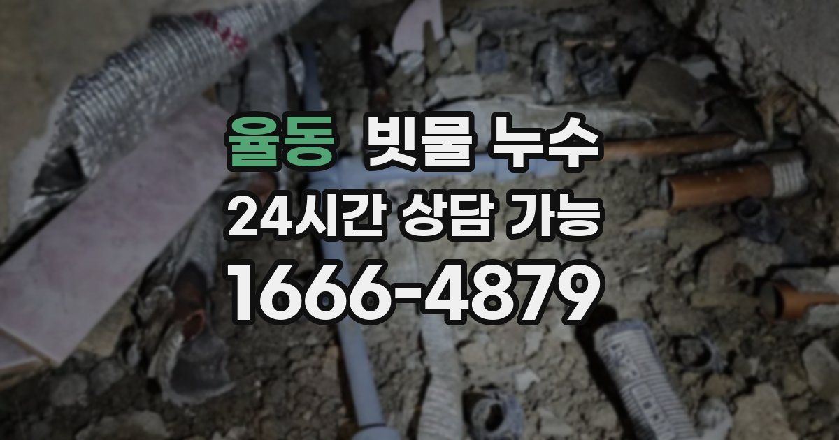 율동 빗물 누수