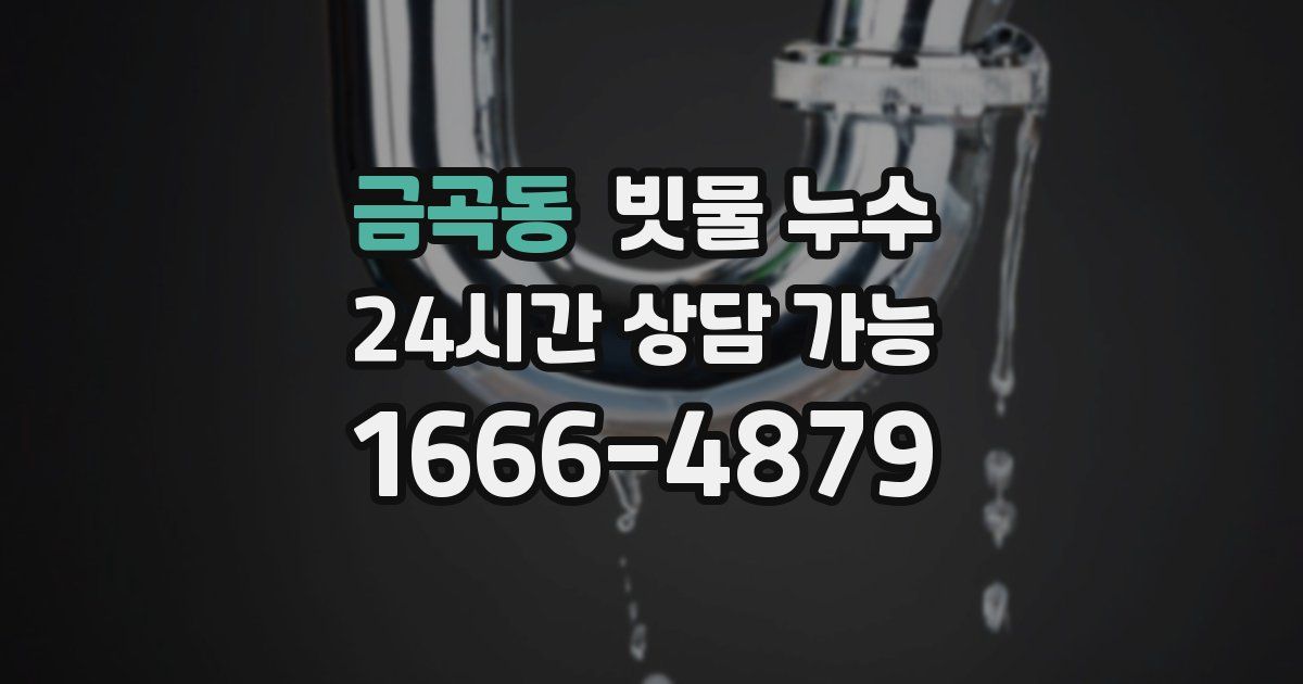 금곡동 빗물 누수