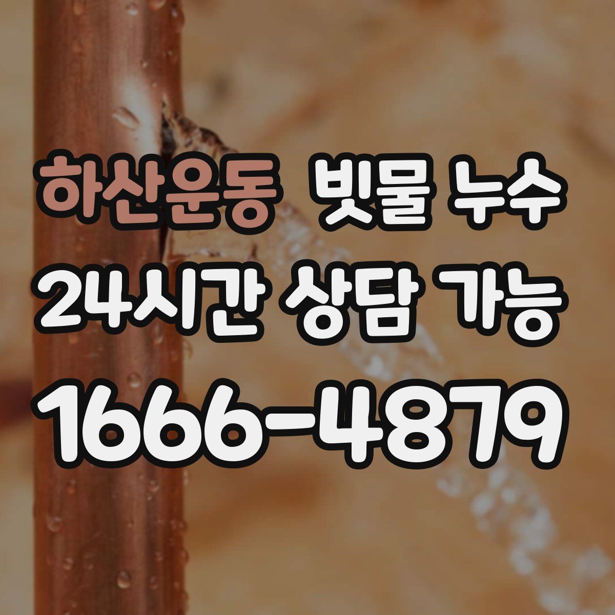 하산운동 빗물 누수