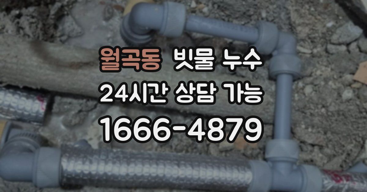 월곡동 빗물 누수