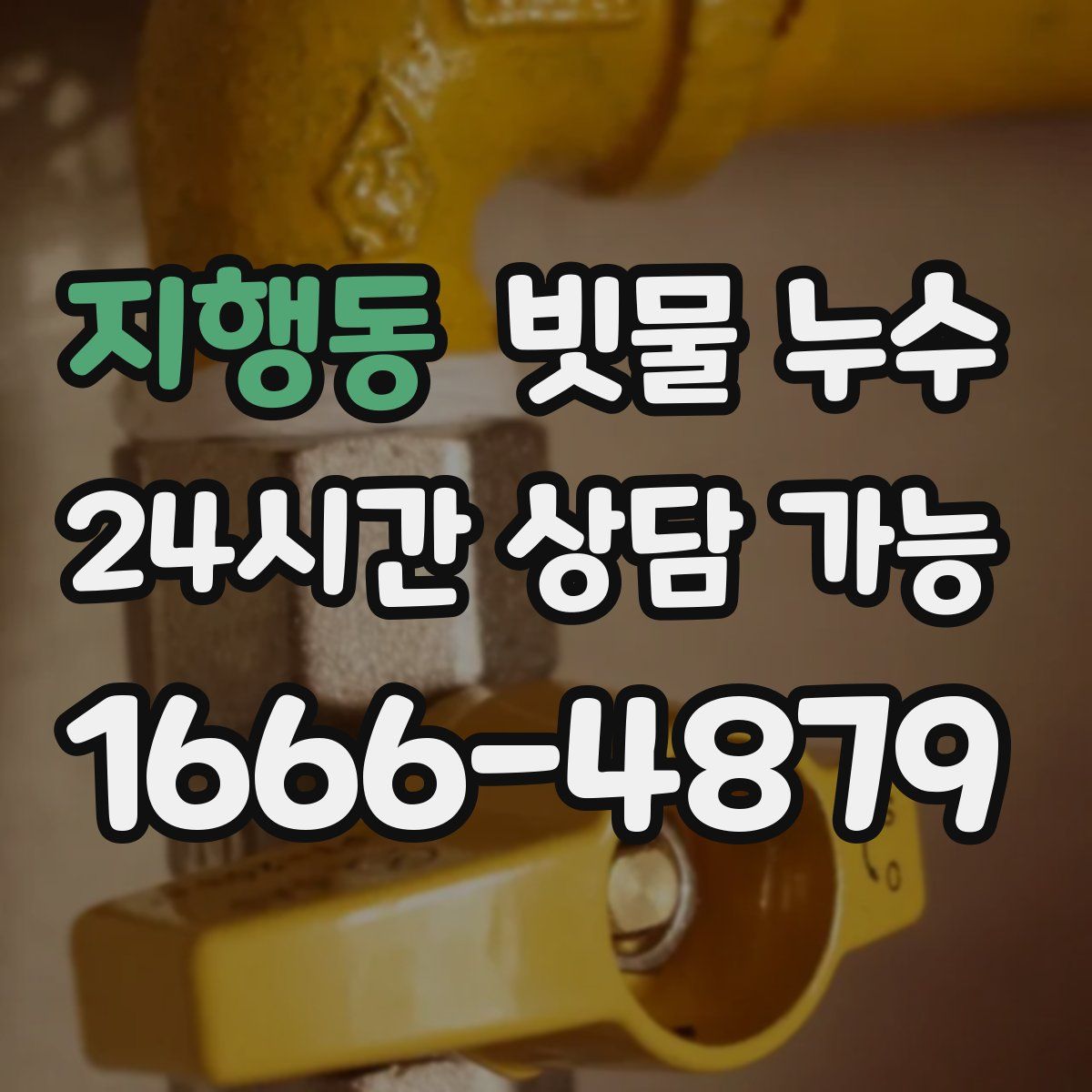 지행동 빗물 누수