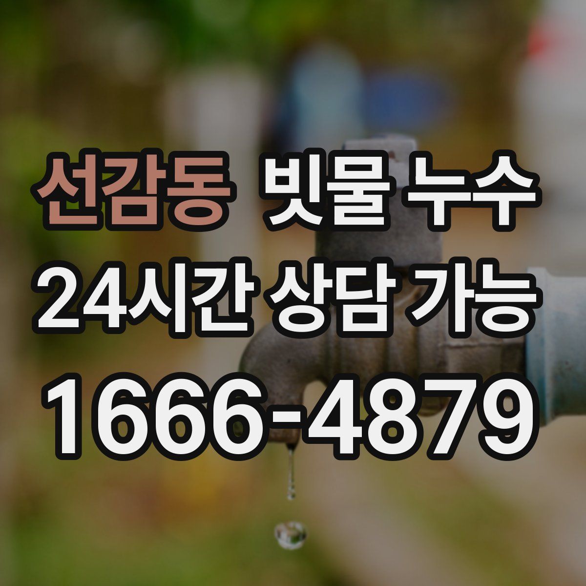 선감동 빗물 누수