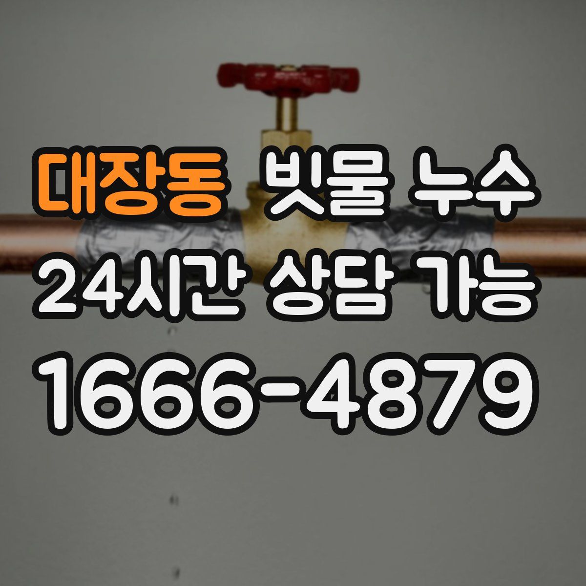 대장동 빗물 누수