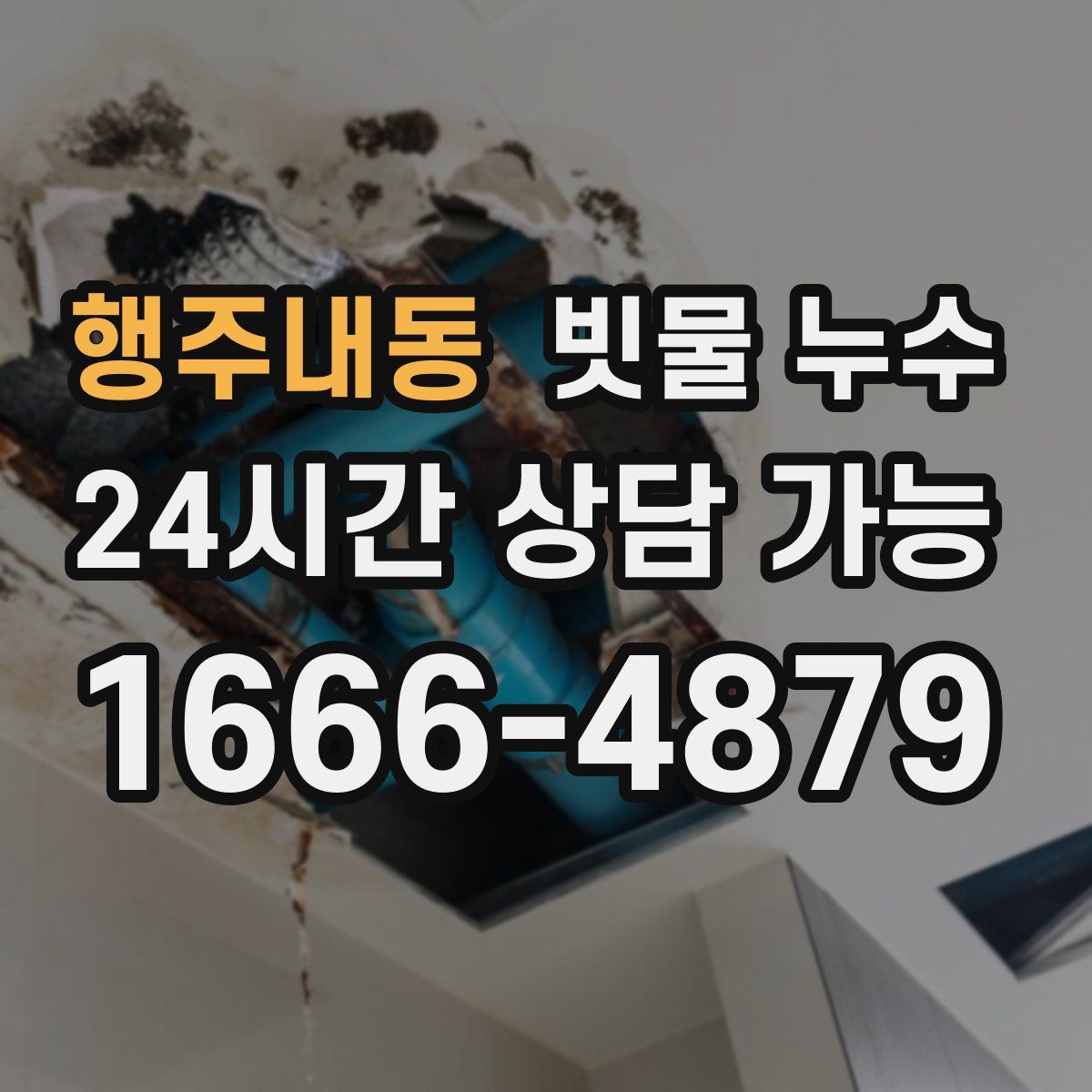 행주내동 빗물 누수