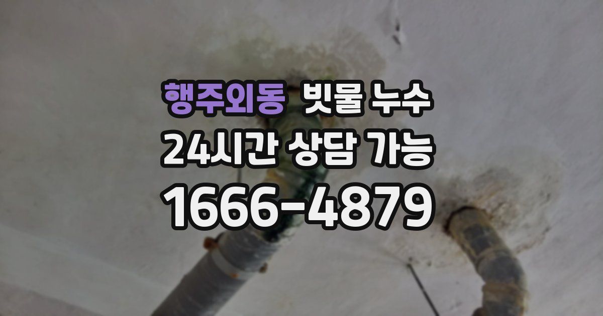 행주외동 빗물 누수