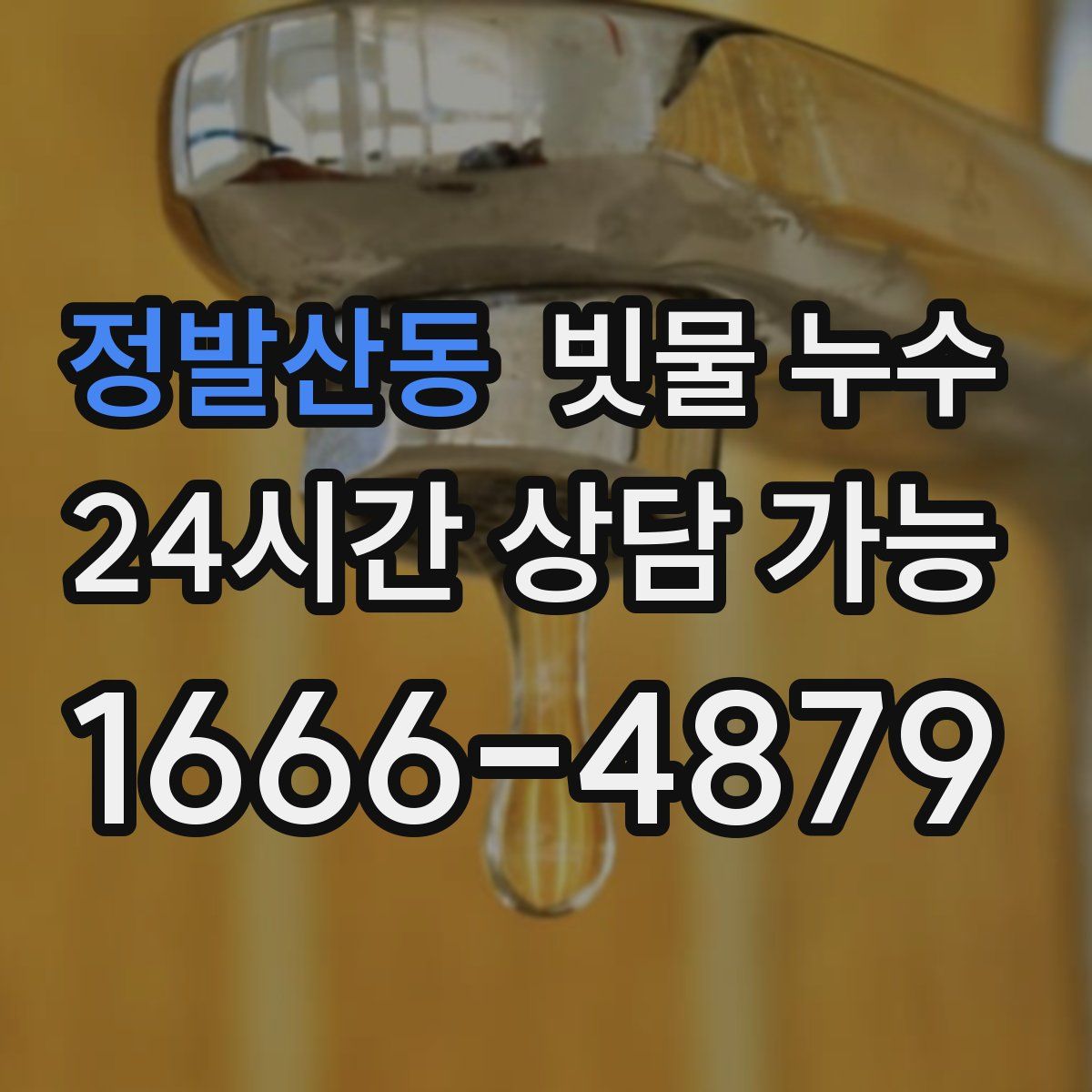 정발산동 빗물 누수