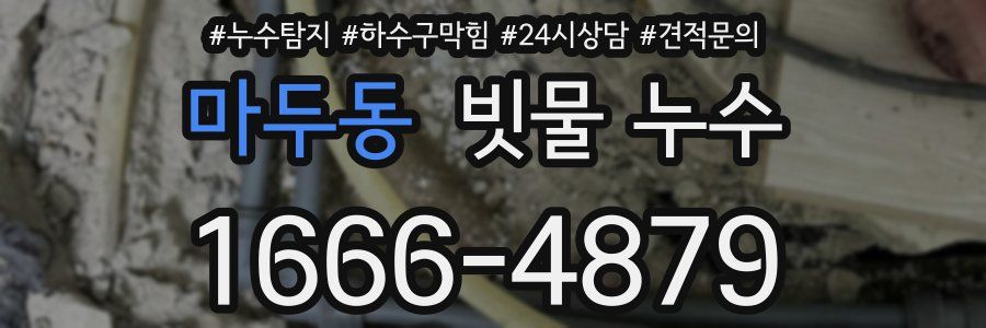 마두동 빗물 누수