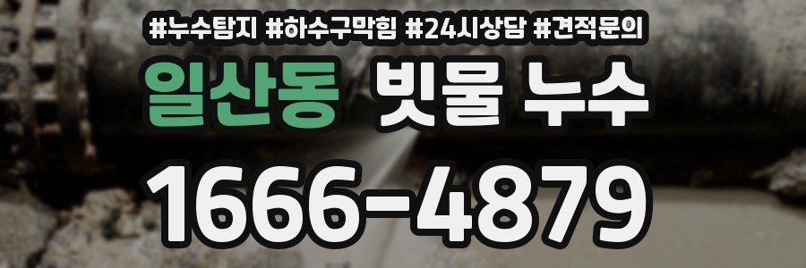 일산동 빗물 누수