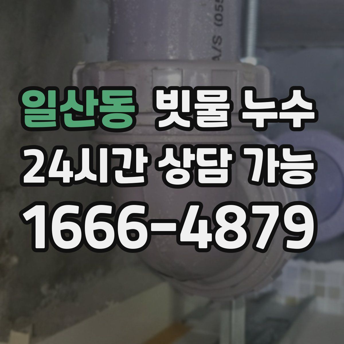 일산동 빗물 누수