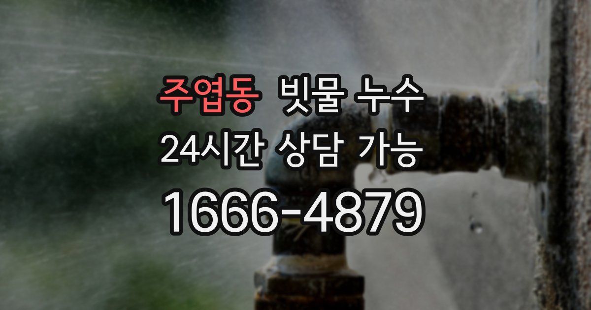 주엽동 빗물 누수