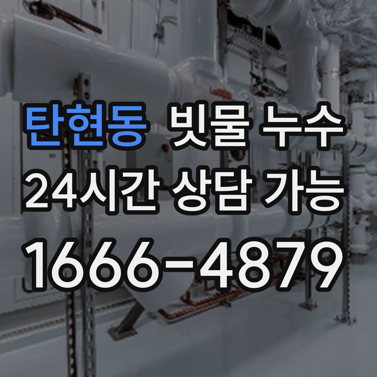 탄현동 빗물 누수