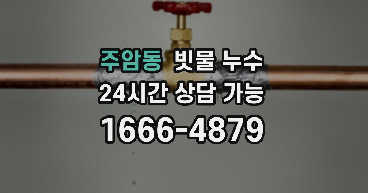 주암동 빗물 누수