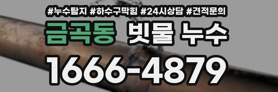 금곡동 빗물 누수