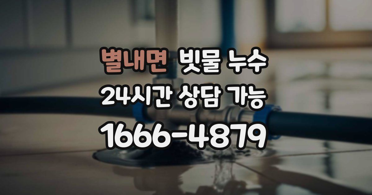 별내면 빗물 누수