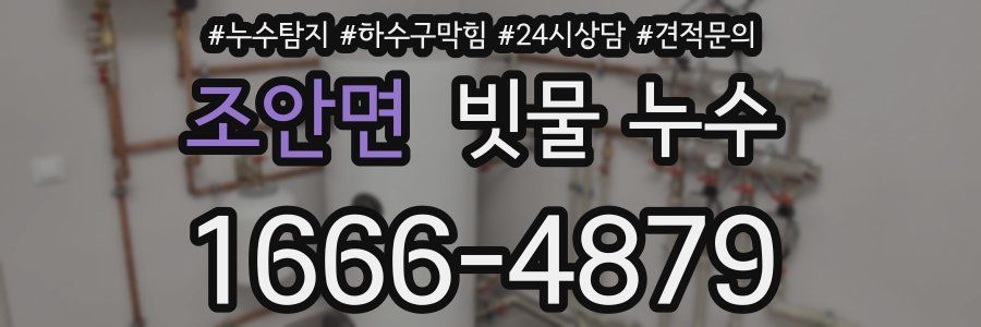 조안면 빗물 누수