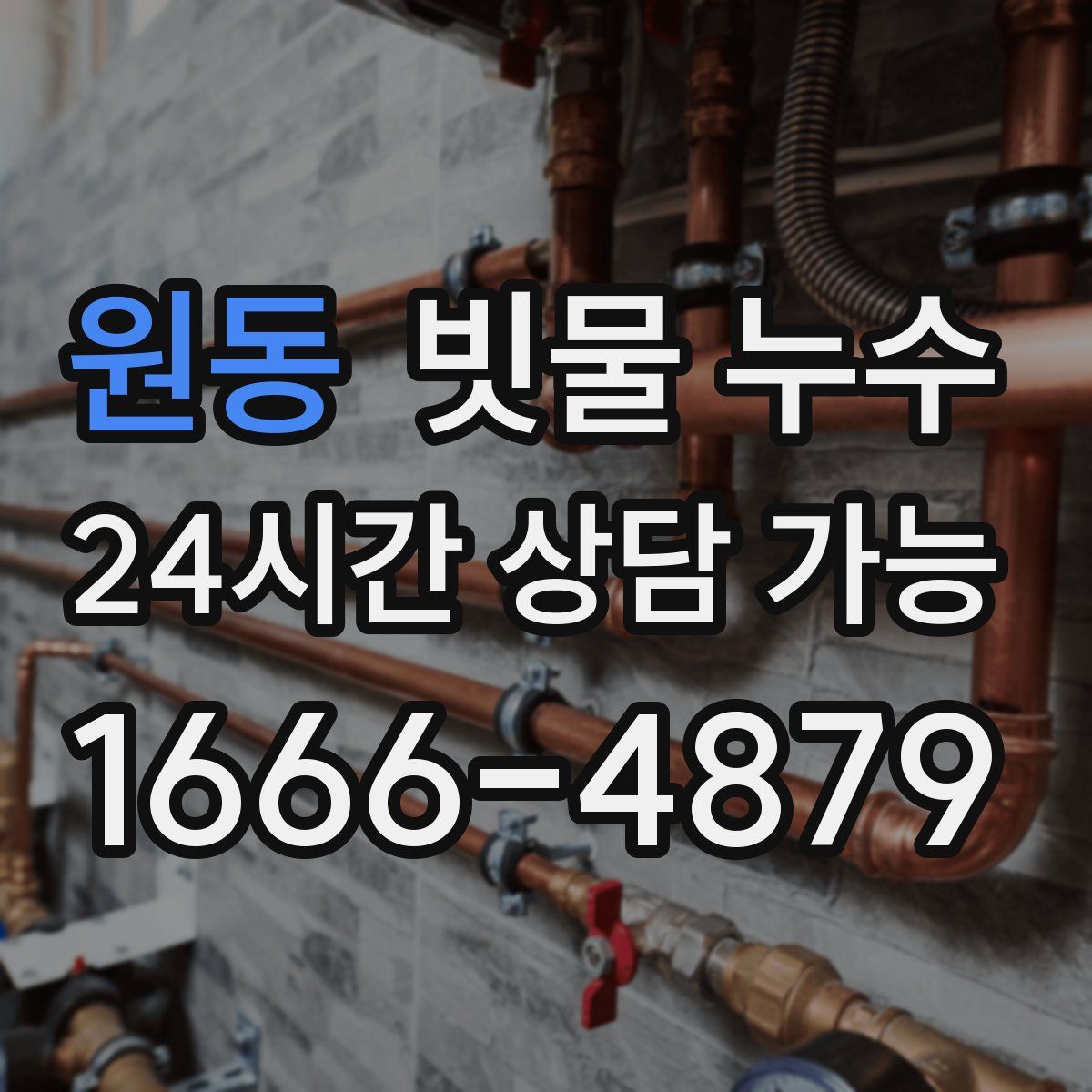 원동 빗물 누수