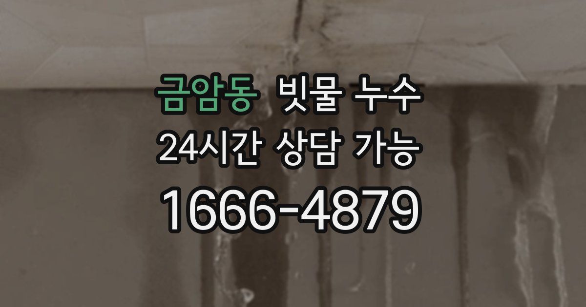금암동 빗물 누수