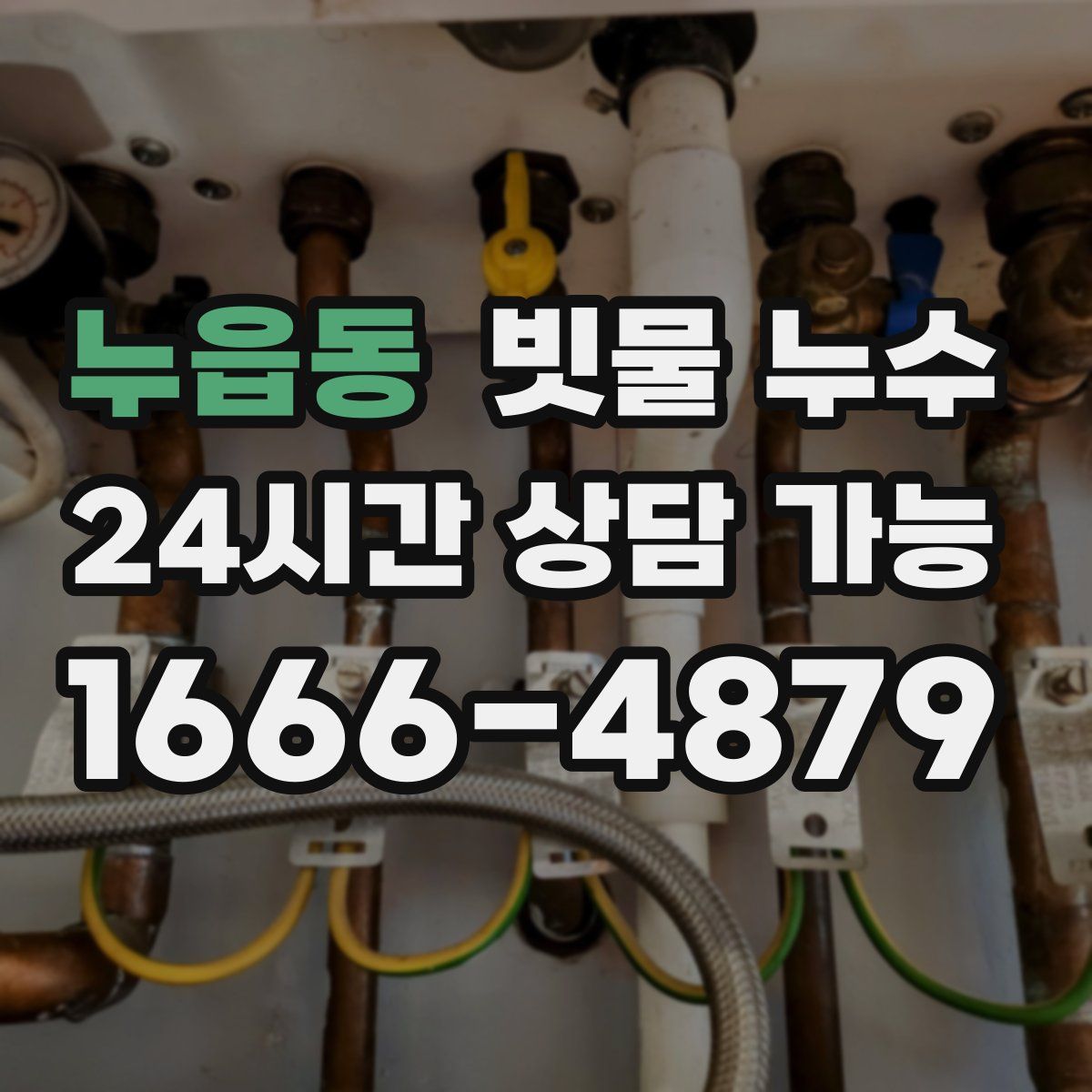 누읍동 빗물 누수