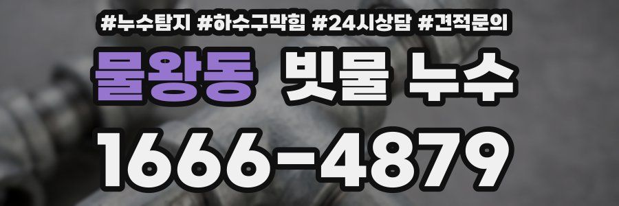 물왕동 빗물 누수