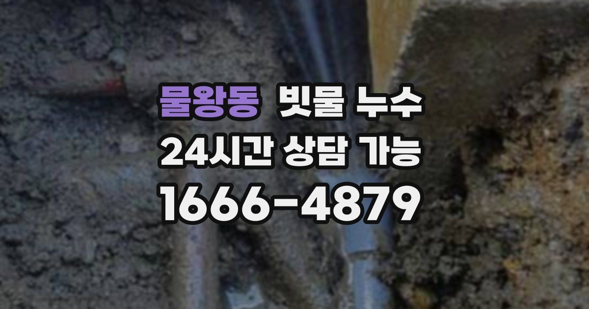 물왕동 빗물 누수