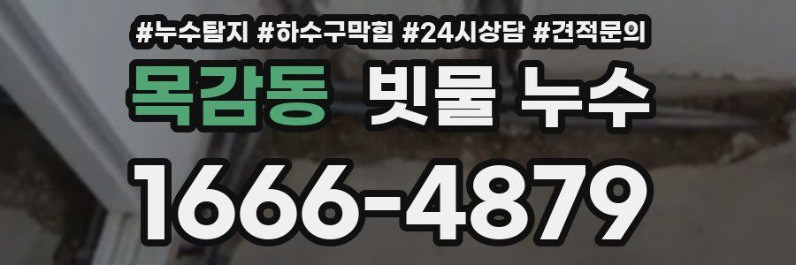 목감동 빗물 누수