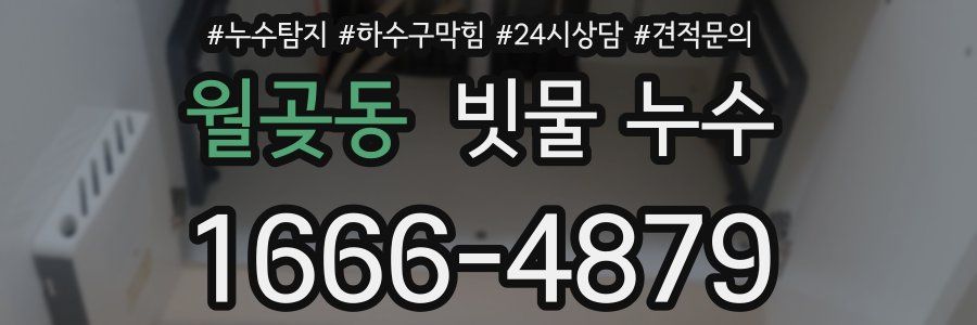 월곶동 빗물 누수