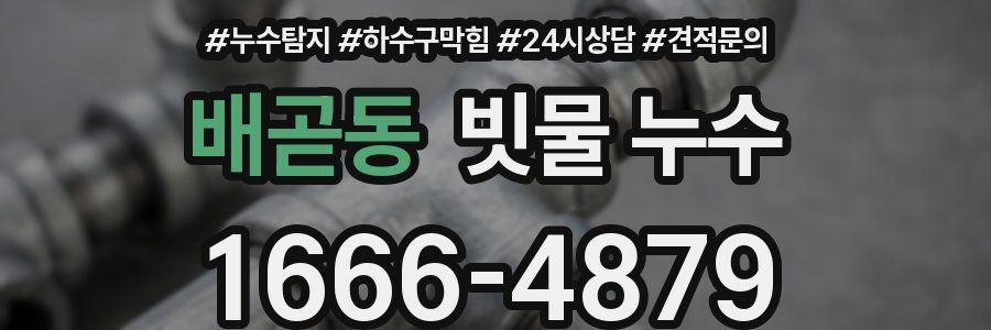 배곧동 빗물 누수