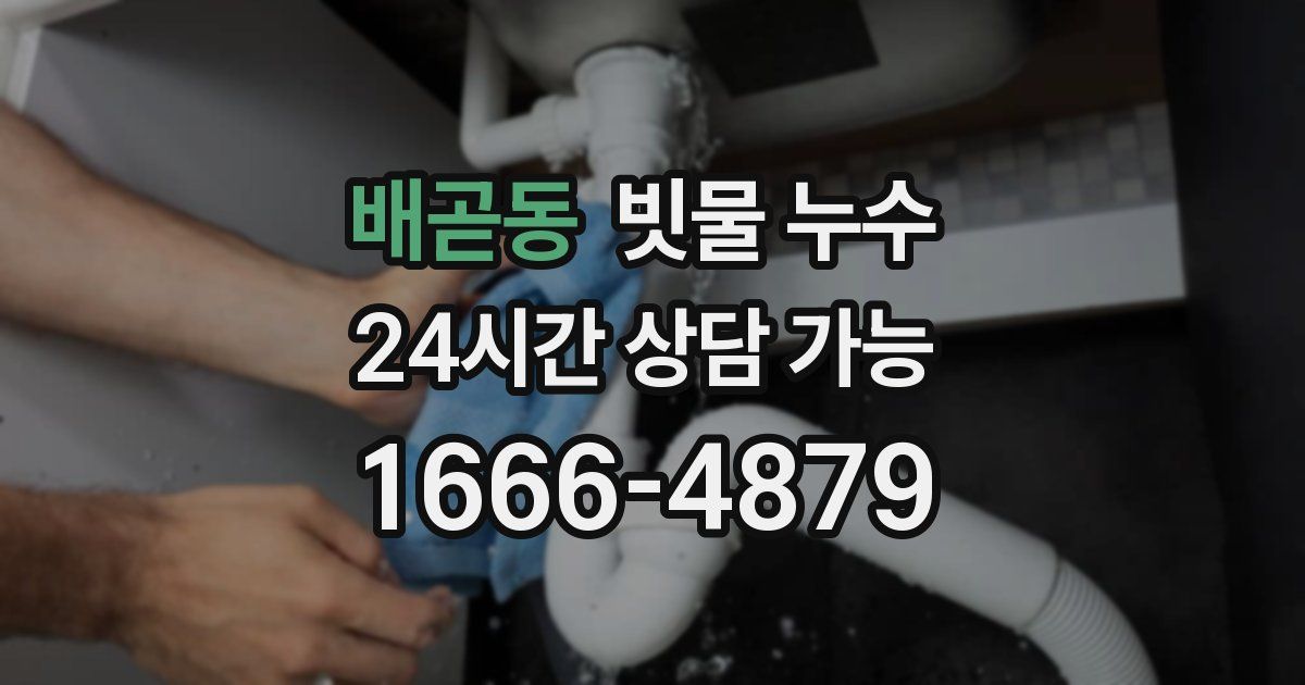 배곧동 빗물 누수