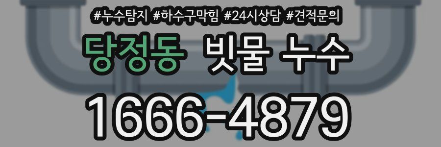 당정동 빗물 누수