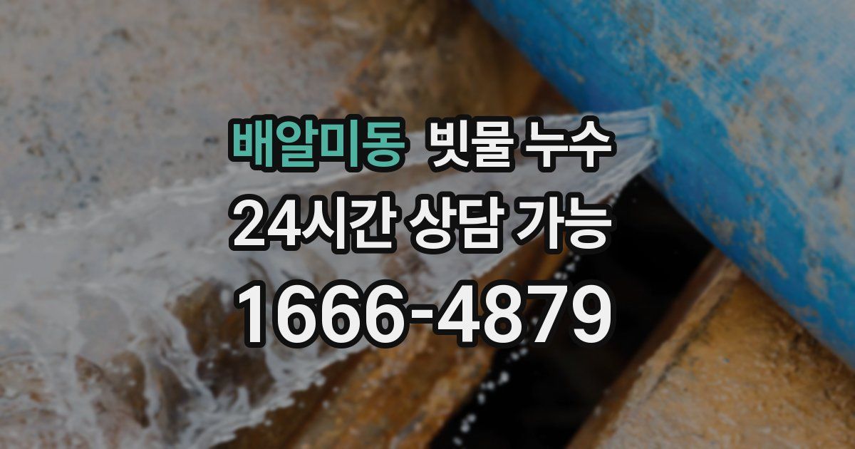 배알미동 빗물 누수