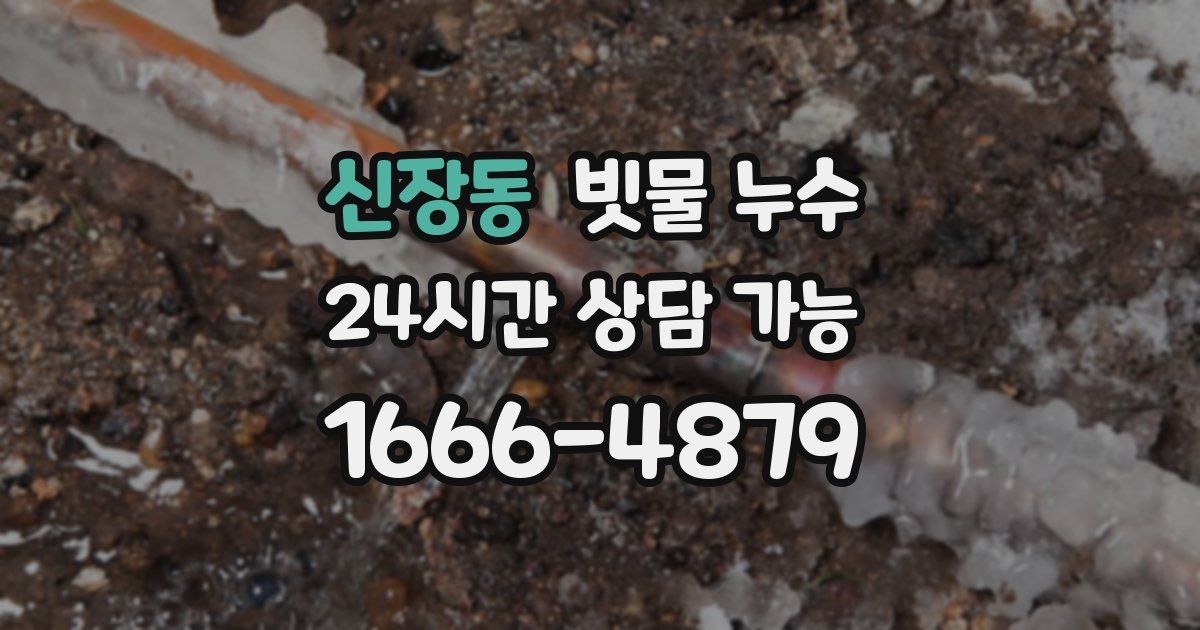 신장동 빗물 누수