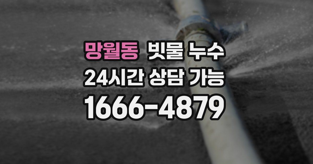 망월동 빗물 누수
