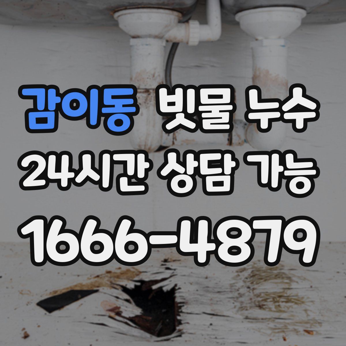감이동 빗물 누수