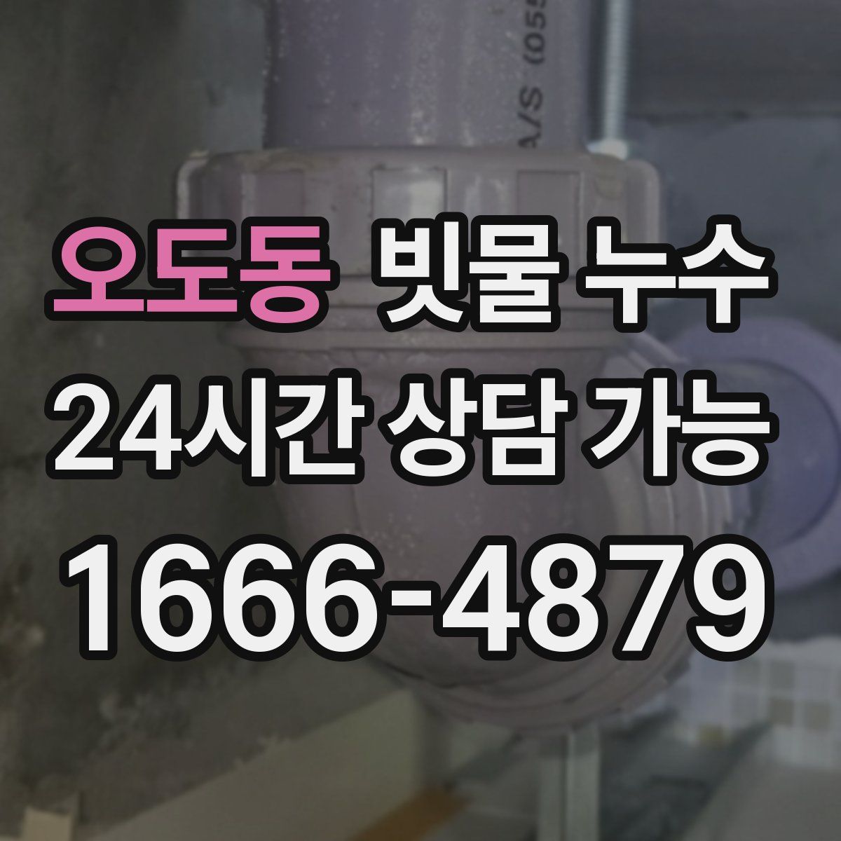 오도동 빗물 누수