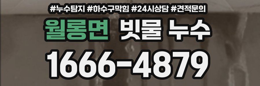 월롱면 빗물 누수
