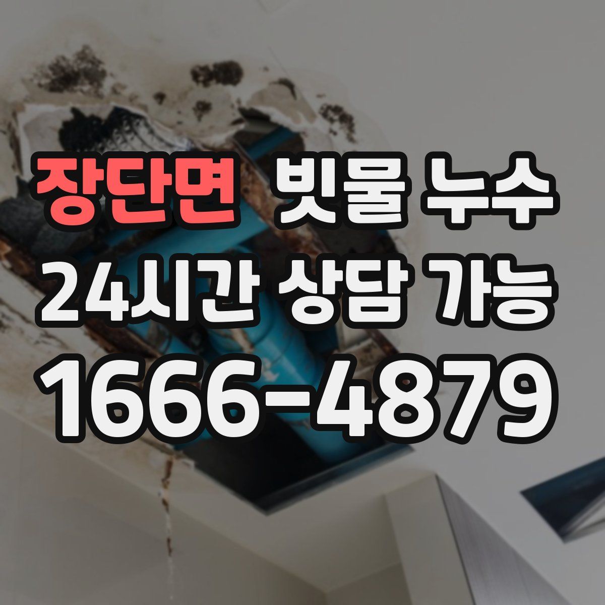 장단면 빗물 누수