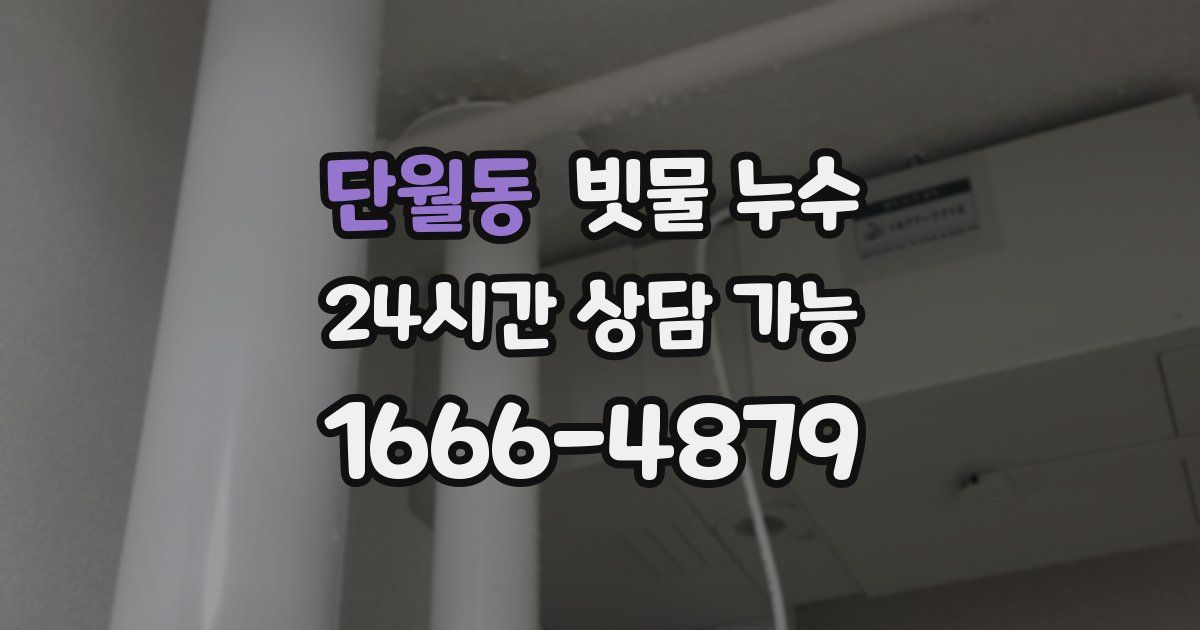 단월동 빗물 누수