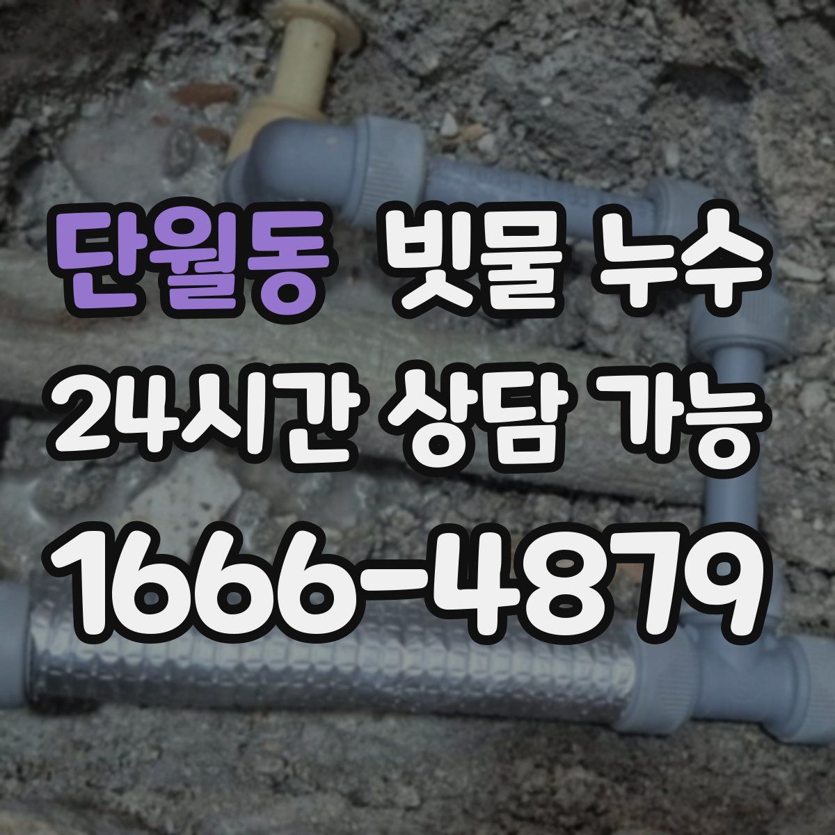 단월동 빗물 누수