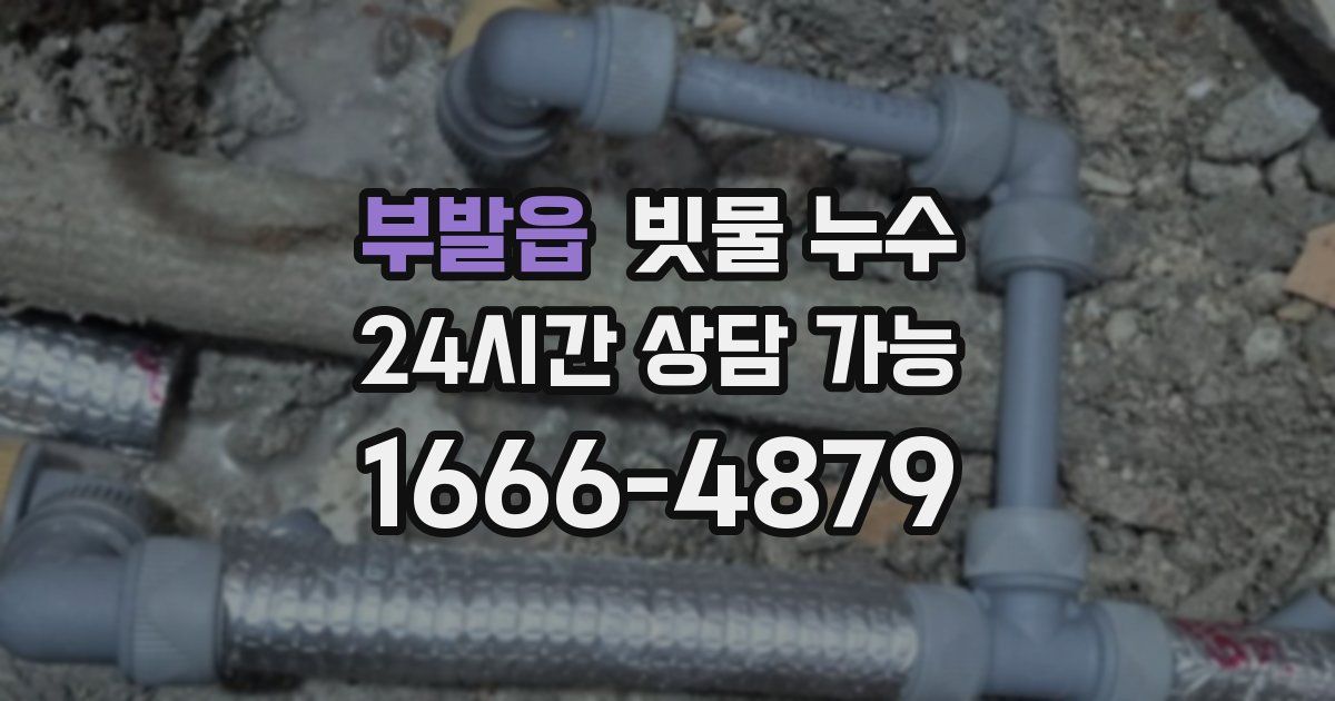 부발읍 빗물 누수